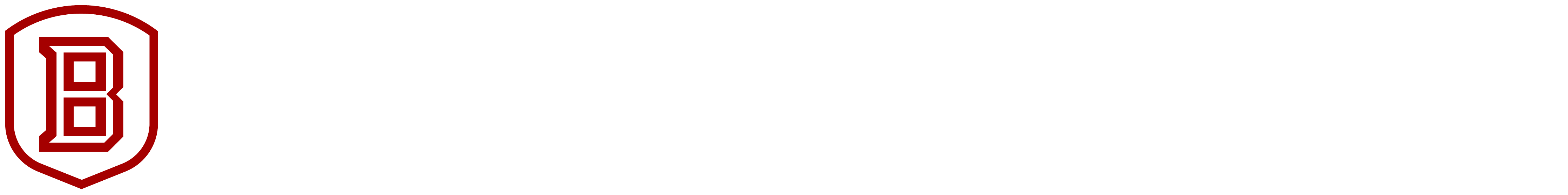 Bradley University Logo